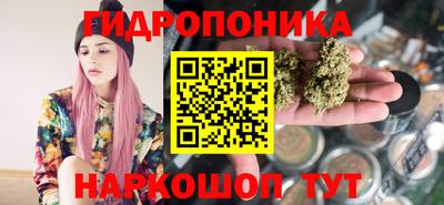 сатива Бийск