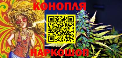 гашик Владимир