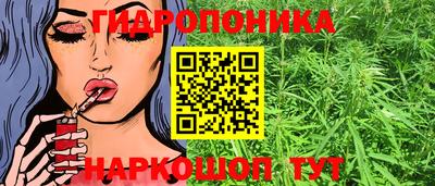 сатива Бийск